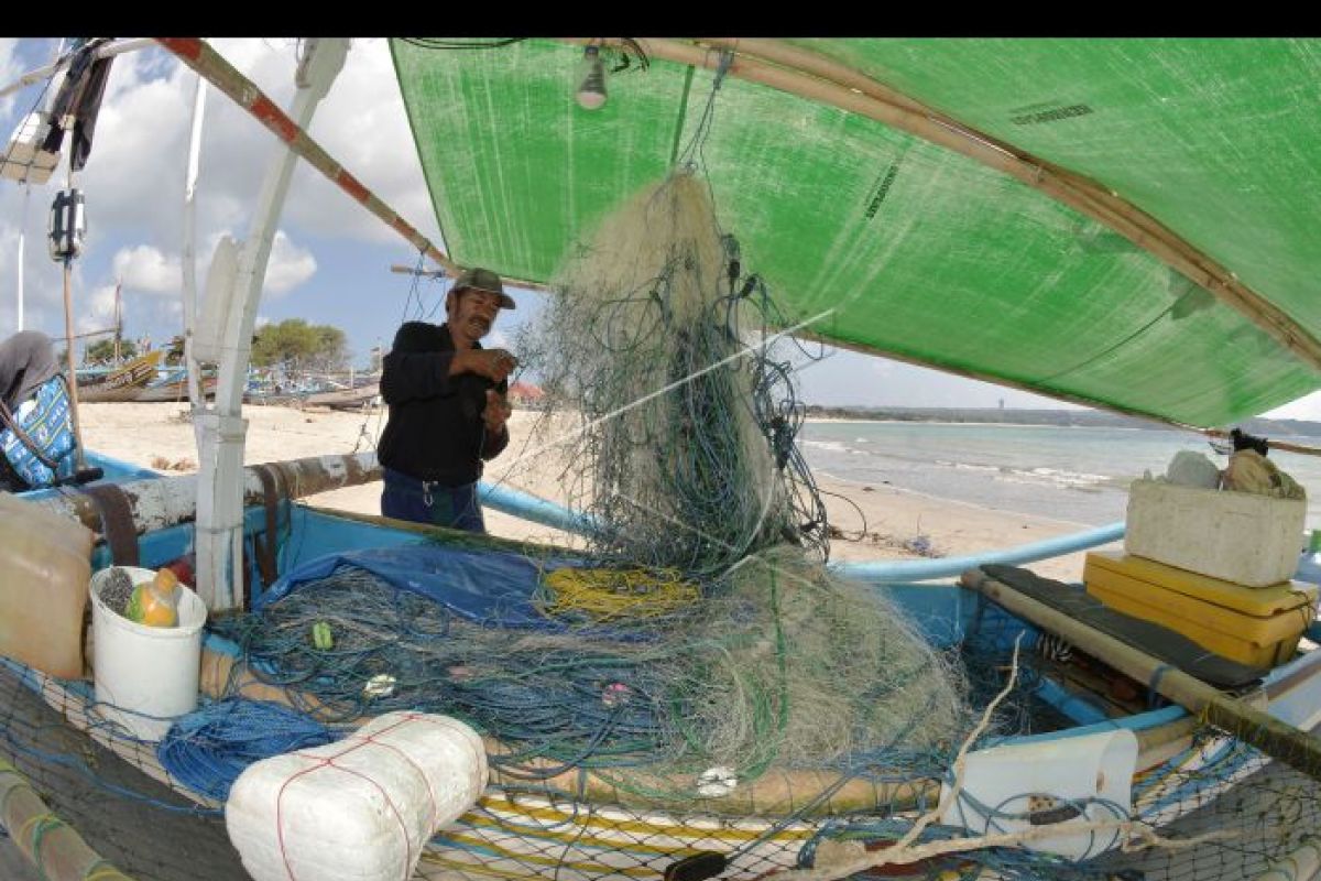 Pasokan berkurang, harga ikan naik