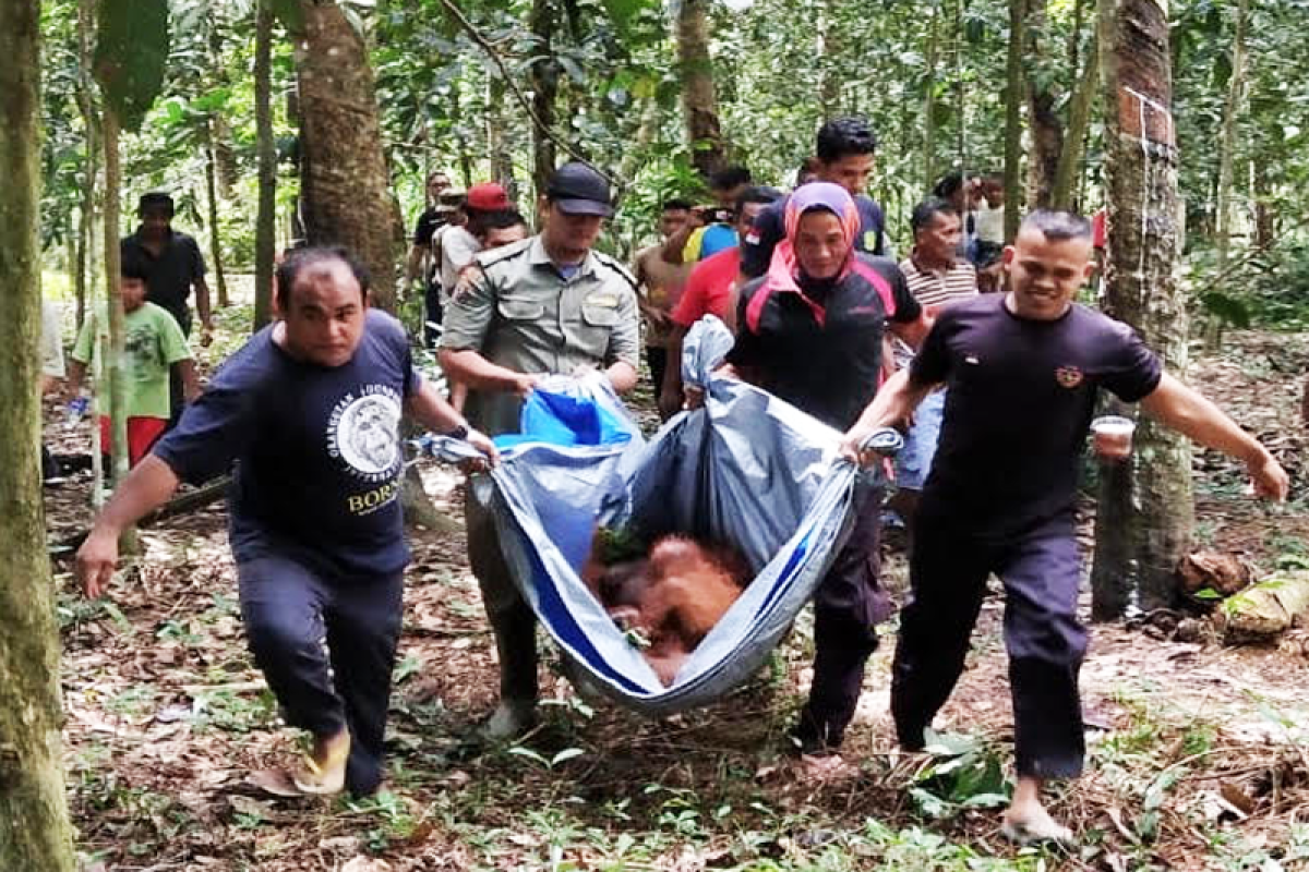 Sejumlah spesies di Kalteng terancam punah