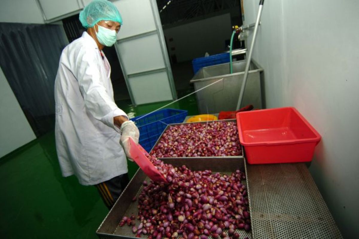 Ministry of Industry projects food industry to grow 9 percent