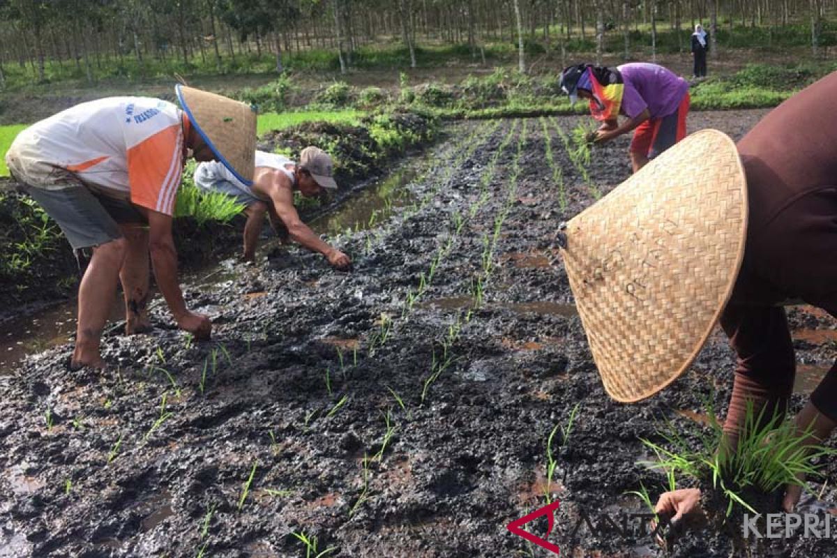 BPS: 40 desa di Kepri kategori tertinggal