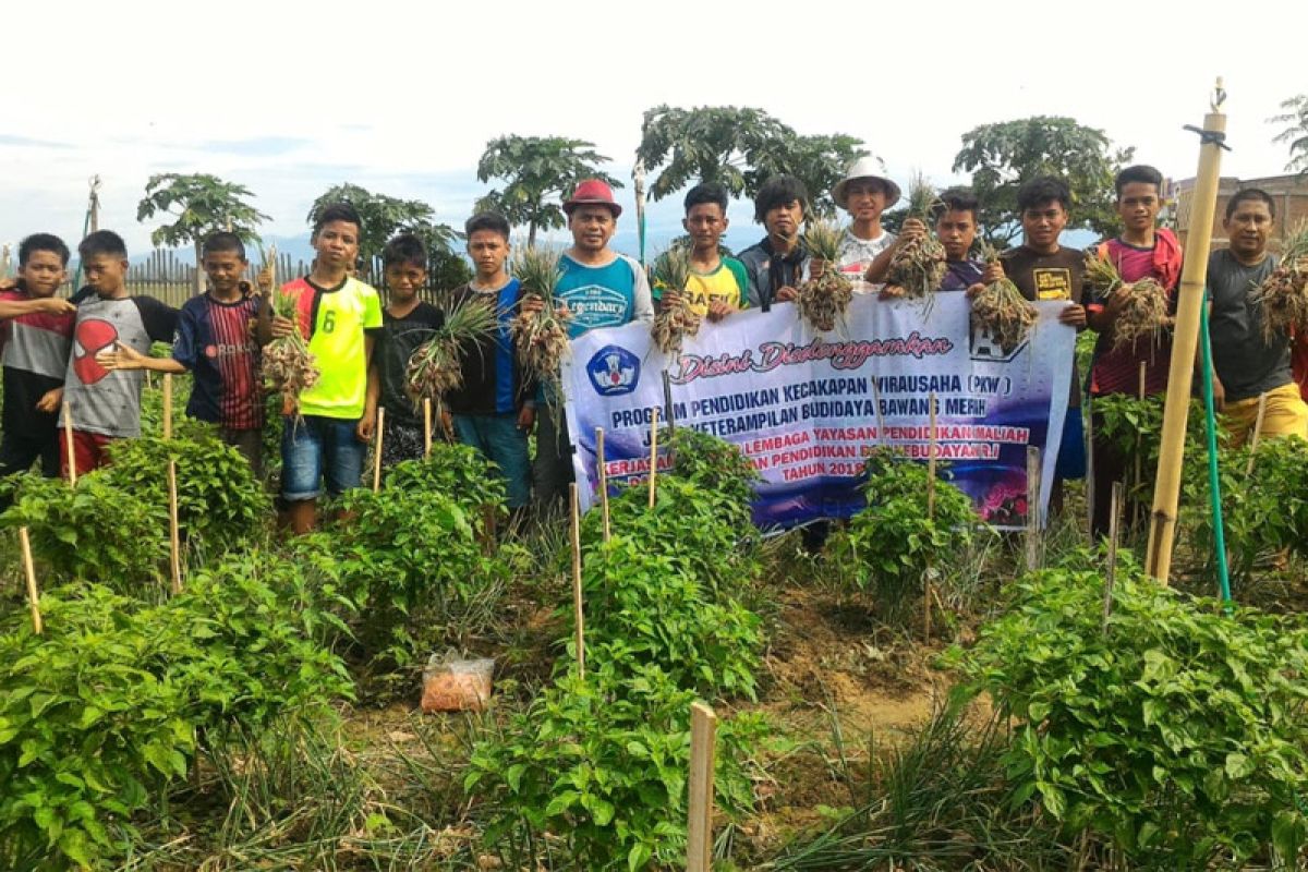 Panti Sejati Rappang berhasil tumpang sarikan bawang-cabai