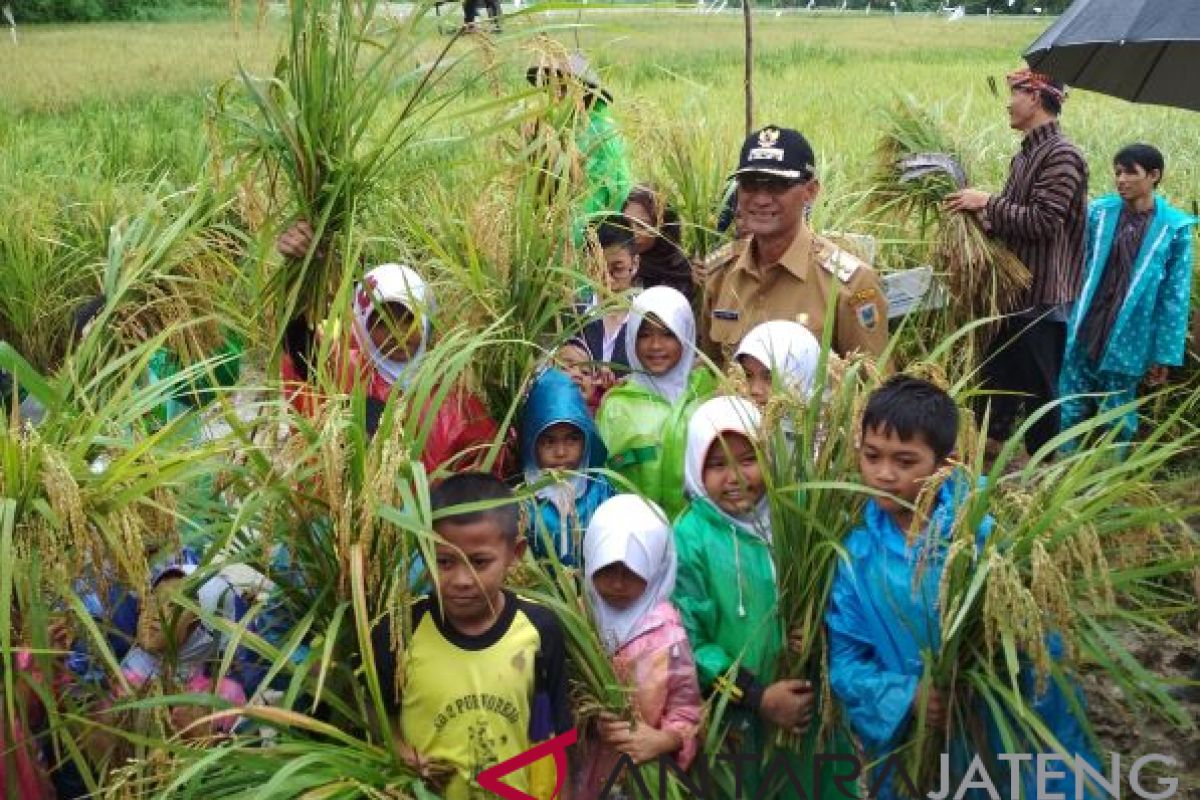 BOSS Gelar Lokakarya dan Panen Perdana Padi Organik