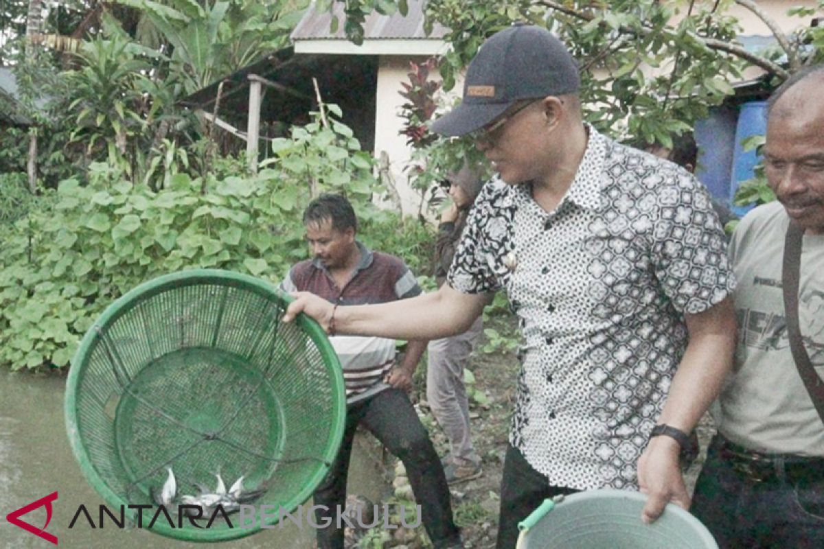 Pemkab Bengkulu Selatan minta BUMDes maksimalkan potensi patin