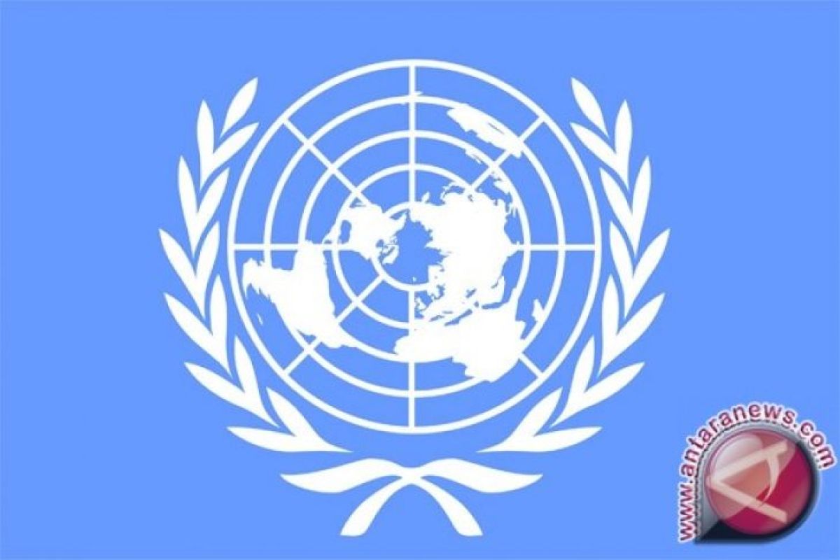 Indonesia resmi jadi anggota DK PBB periode 2019-2020