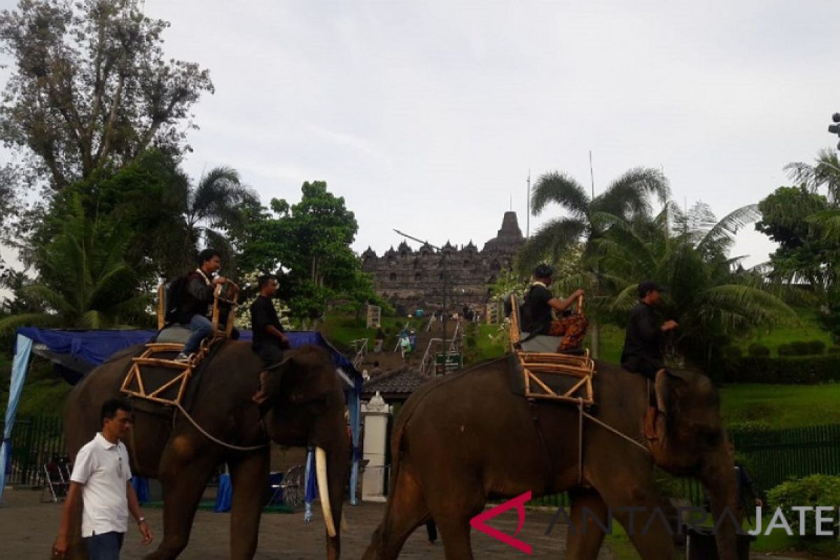 Pengunjung pertama 2019 Candi Borobudur diarak naik gajah