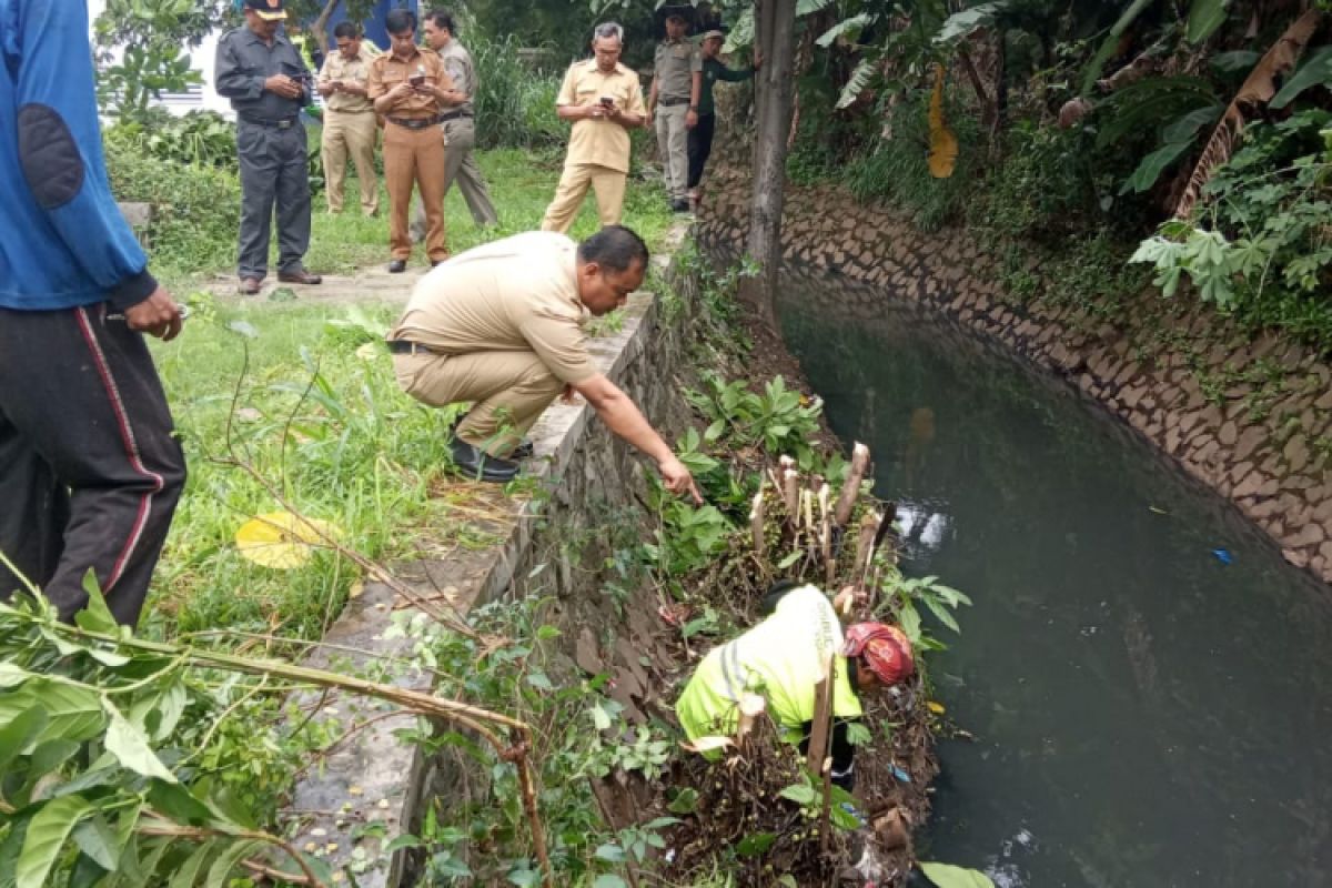 Petugas Taman Angkut Gulma Di Kali Cantiga Penyebab Banjir