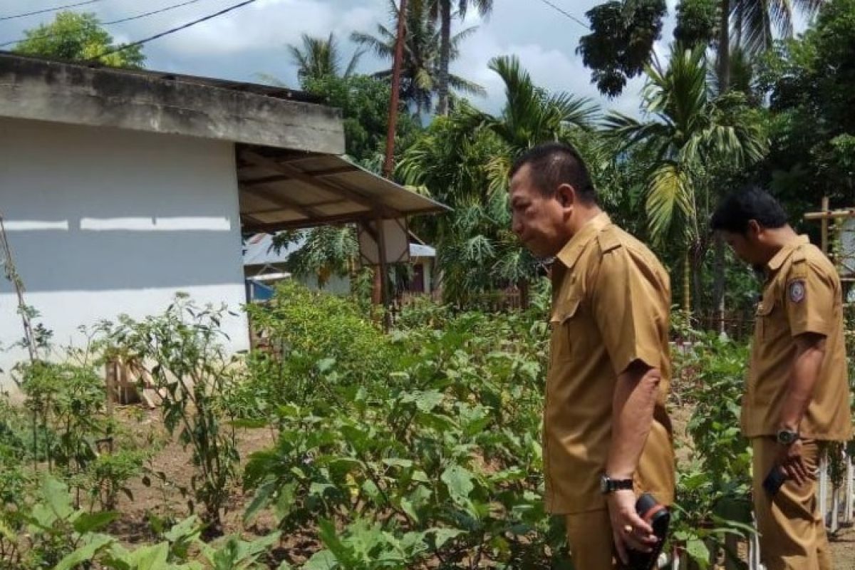 Dinas Pangan Provinsi Gorontalo salurkan bantuan benih cabai melalui KRPL