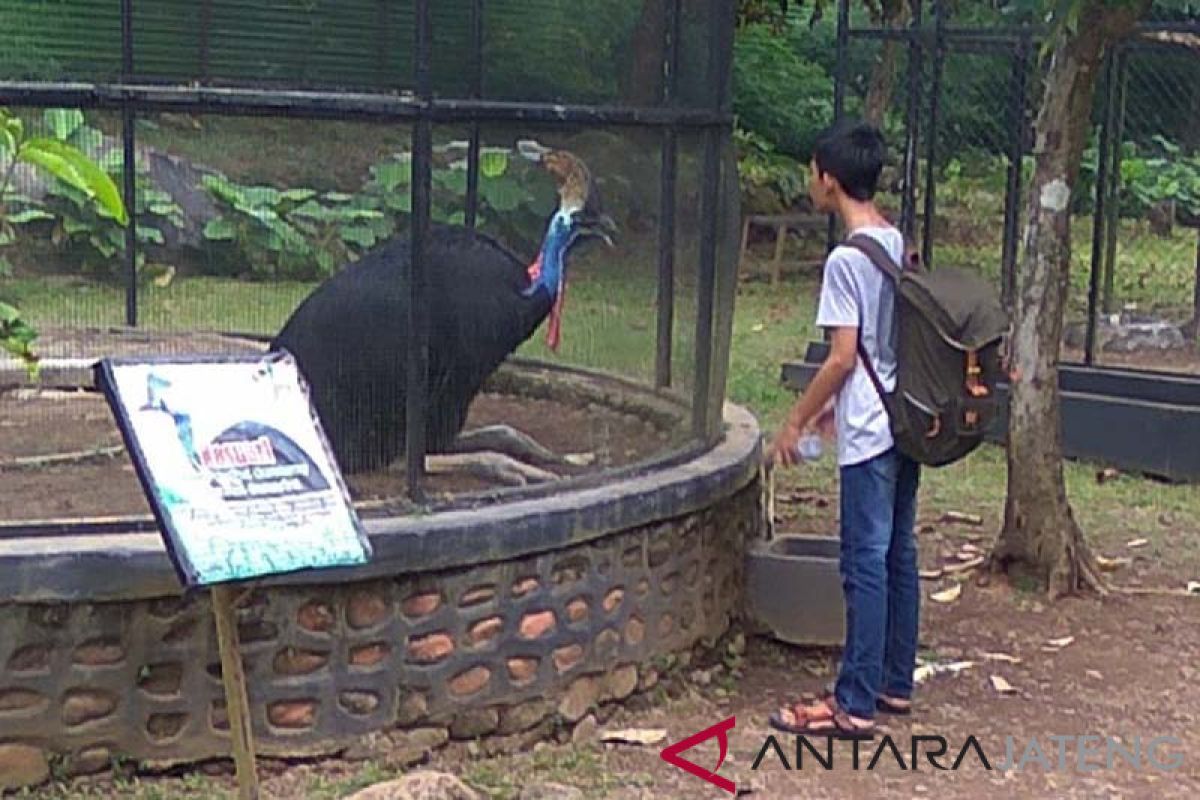 Sanggaluri Park Purbalingga segera dilengkapi wahana baru