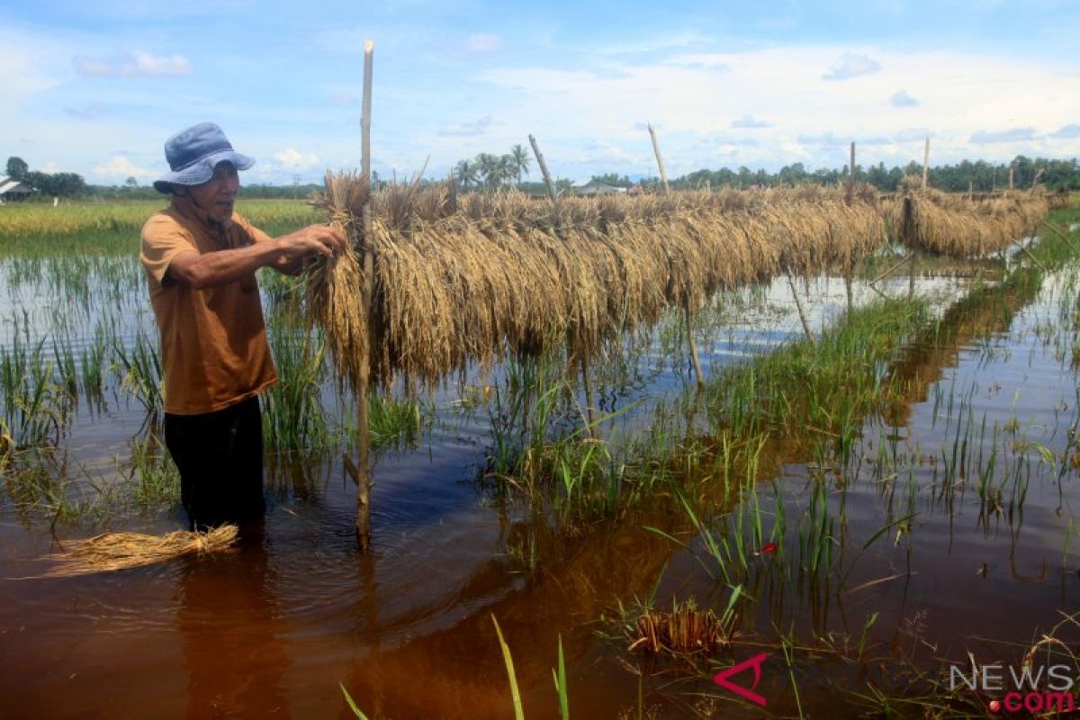 Petani Karawang diimbau waspadai banjir