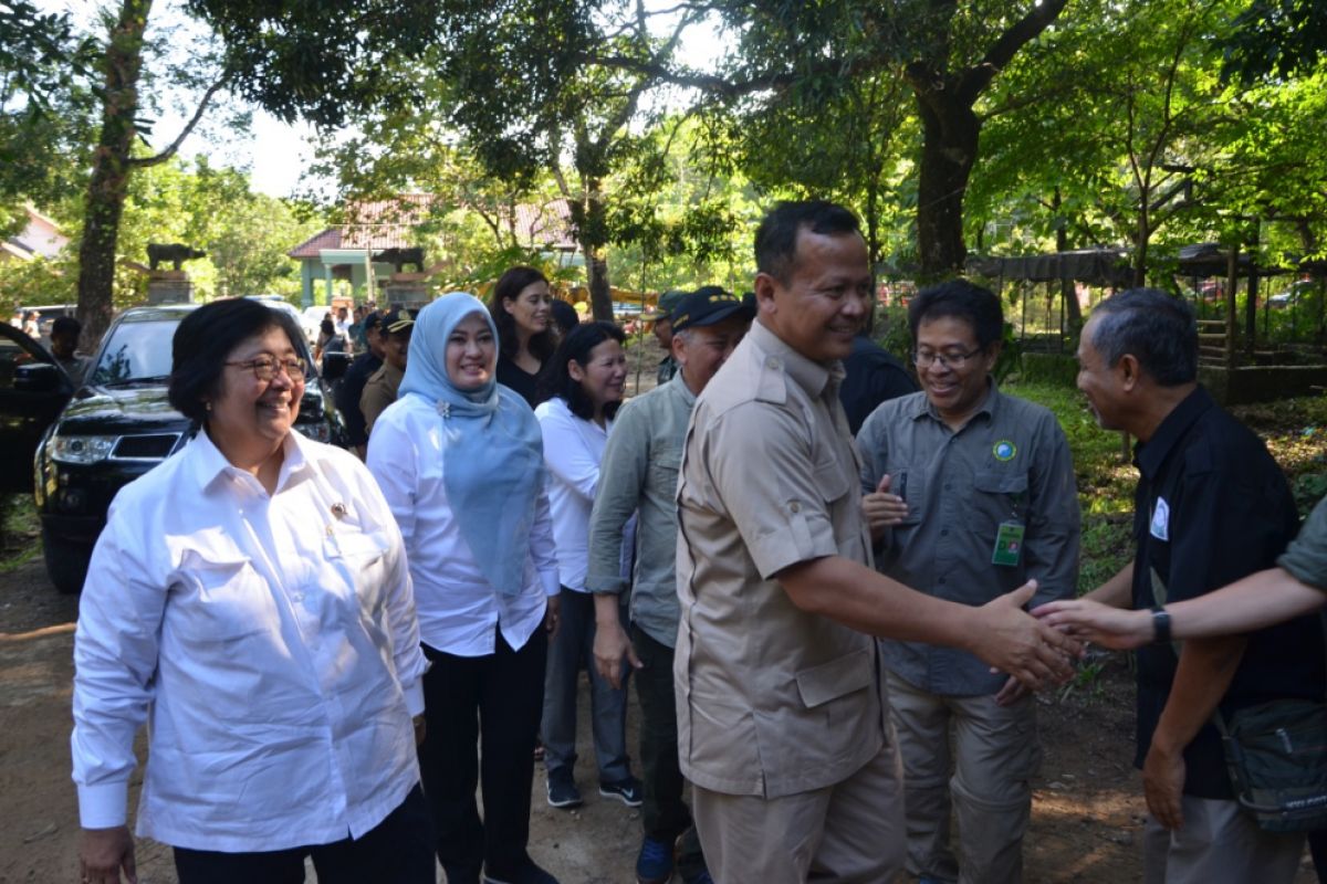 Menteri LHK Tinjau Balai TNUK Pasca-Tsunami Selat Sunda