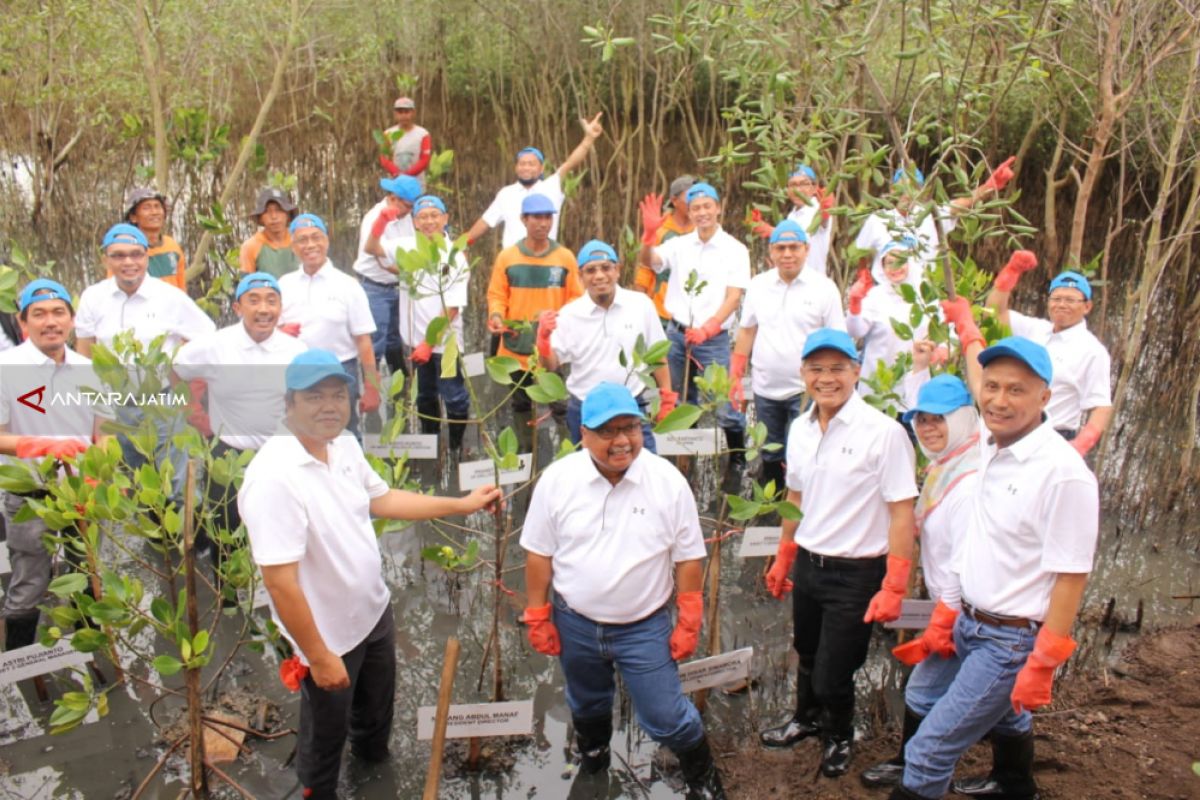 Pertamina-Pemkot Tanam 5.000 Bibit Mangrove di Gunung Anyar Surabaya