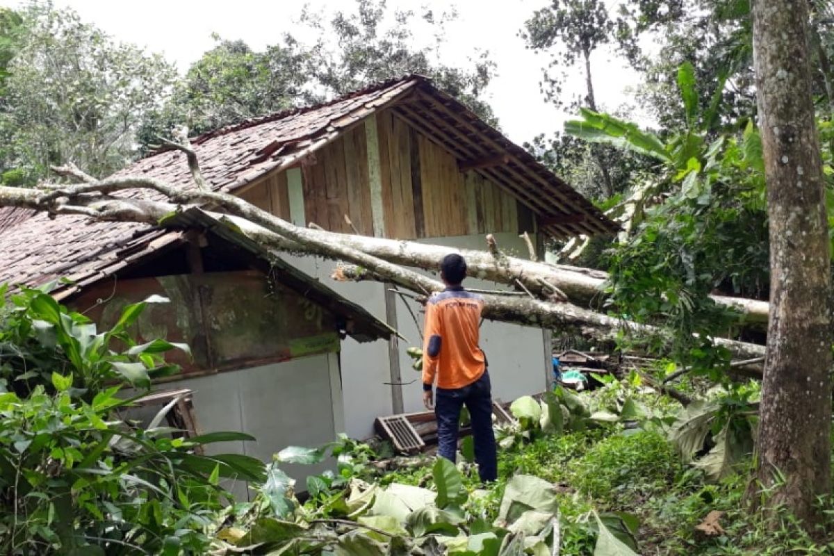 Awas, angin kencang berpotensi hingga 30 Januari