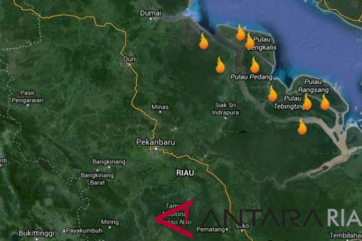 Sembilan Titik Panas Terdeteksi di Riau