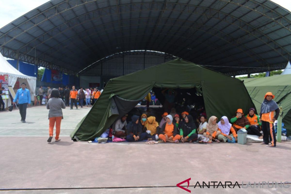 Sejumlah warga Sebesi nekad pulang ke rumahnya lantaran jenuh di pengungsian