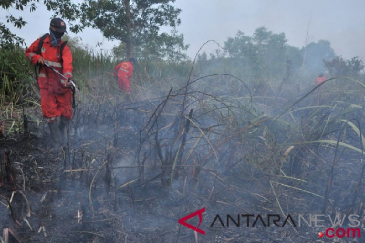 Sumsel tambah petugas awasi hutan rawan kebakaran