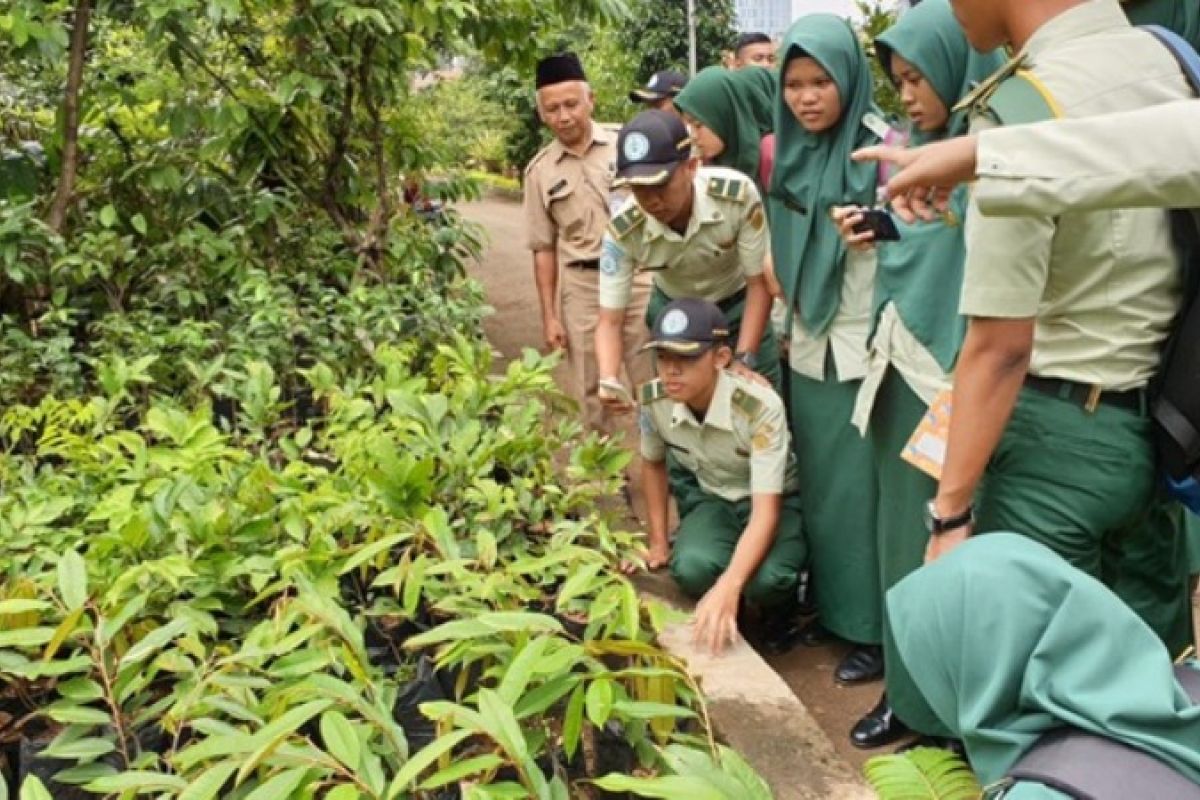 Mahasiswa Polbangtan Bogor belajar 'urban farming'