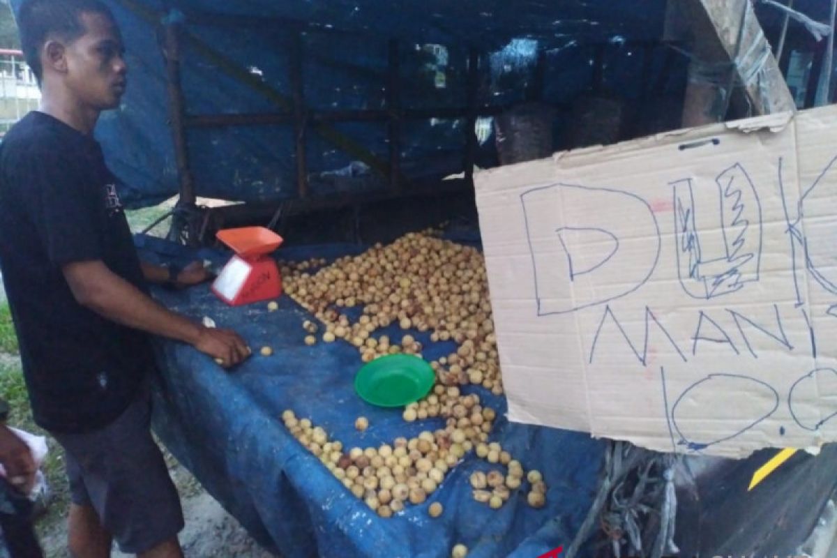 Duku dan manggis dari Jambi banjiri Kota Rantauprapat