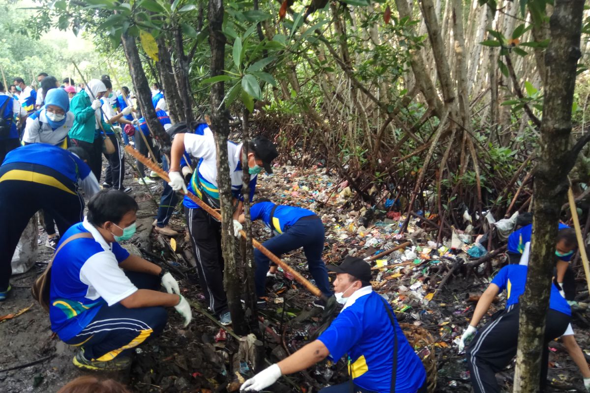 PLN Bali bersihkan sampah plastik di hutan mangrove (video)