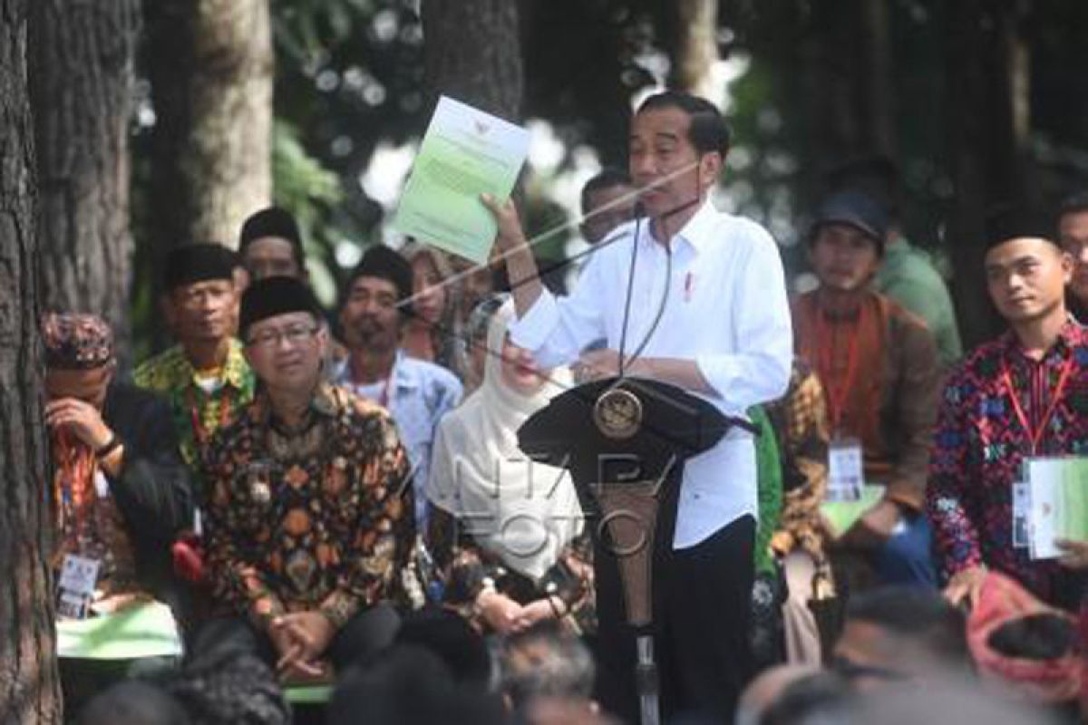 Presiden serahkan 13.900 hektare sk hutan rakyat di cianjur
