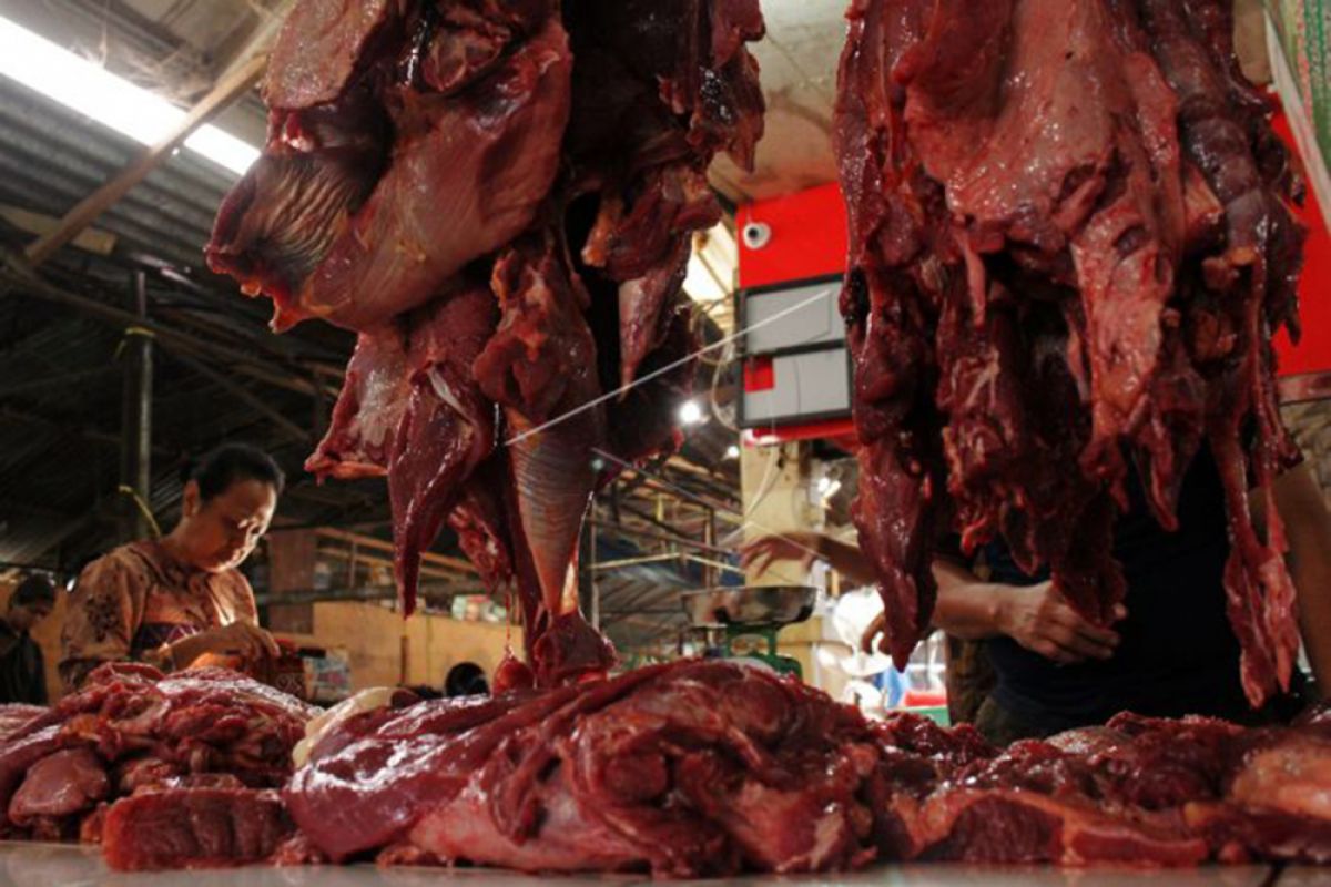 Bulog prepares 20 tons frozen meat for South Kalimantan