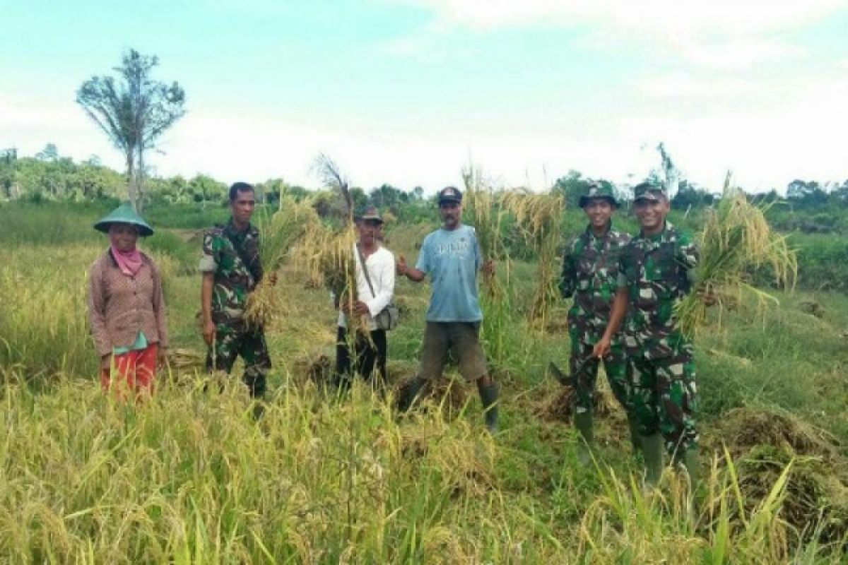 TNI Dampingi Petani Rohul Menuju Swasembada Pangan