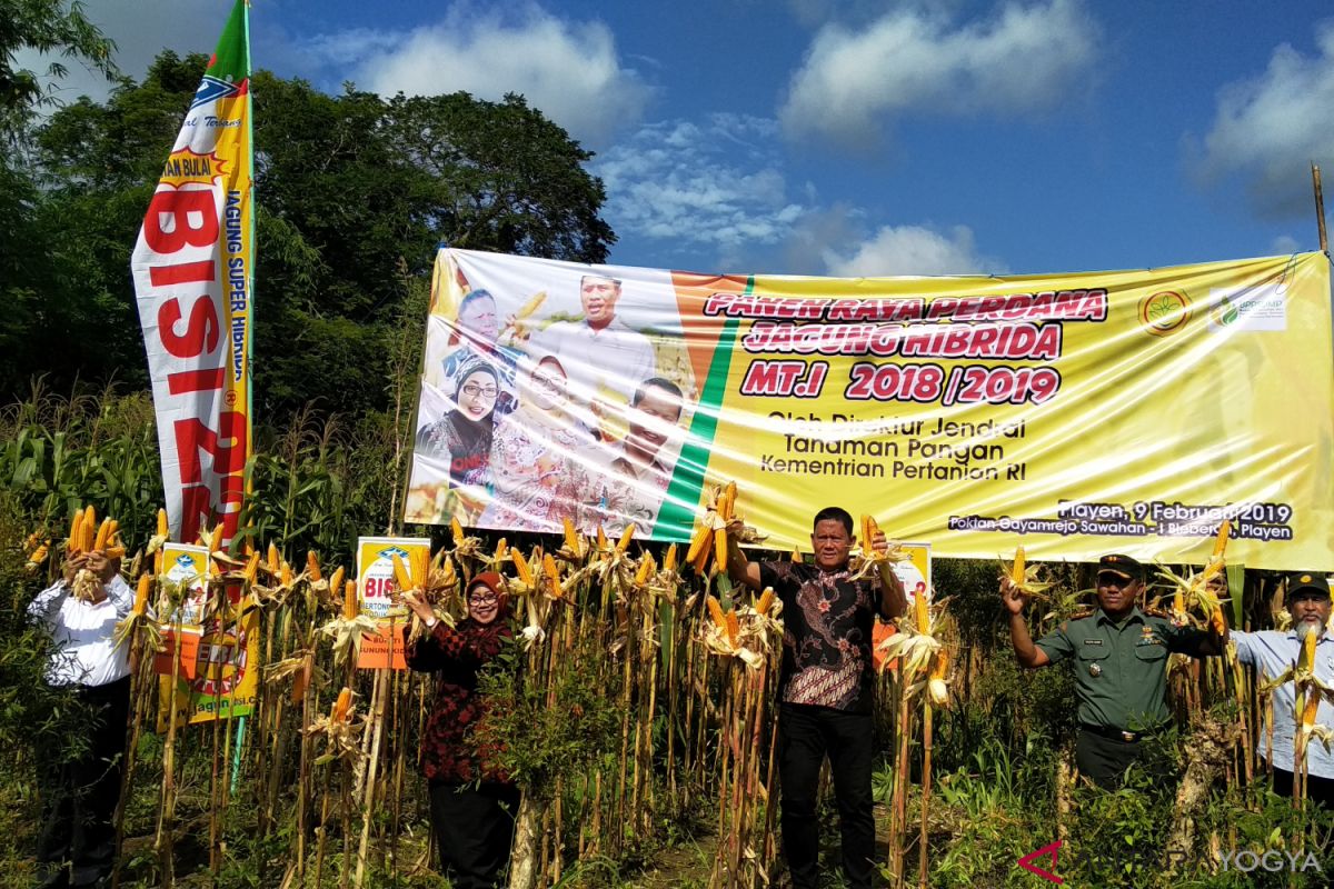 Kementan dorong petani menambah populasi tanaman jagung (VIDEO)