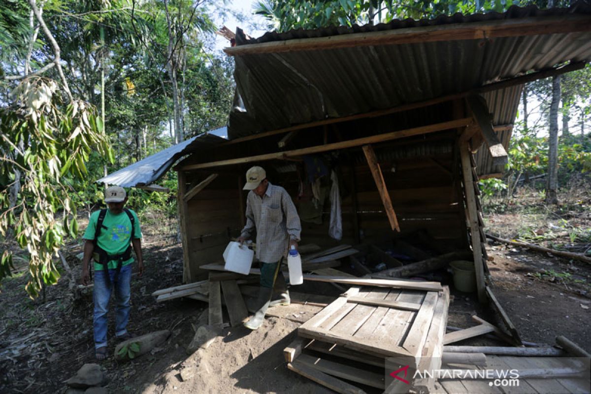 Konflik gajah terus berlarut di Bener Meriah, 15 rumah rusak sejak Juli 2019
