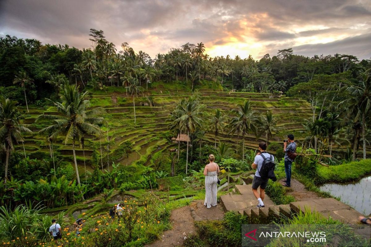 Kemenpar target datangkan 1,5 juta wisman Australia sepanjang 2019