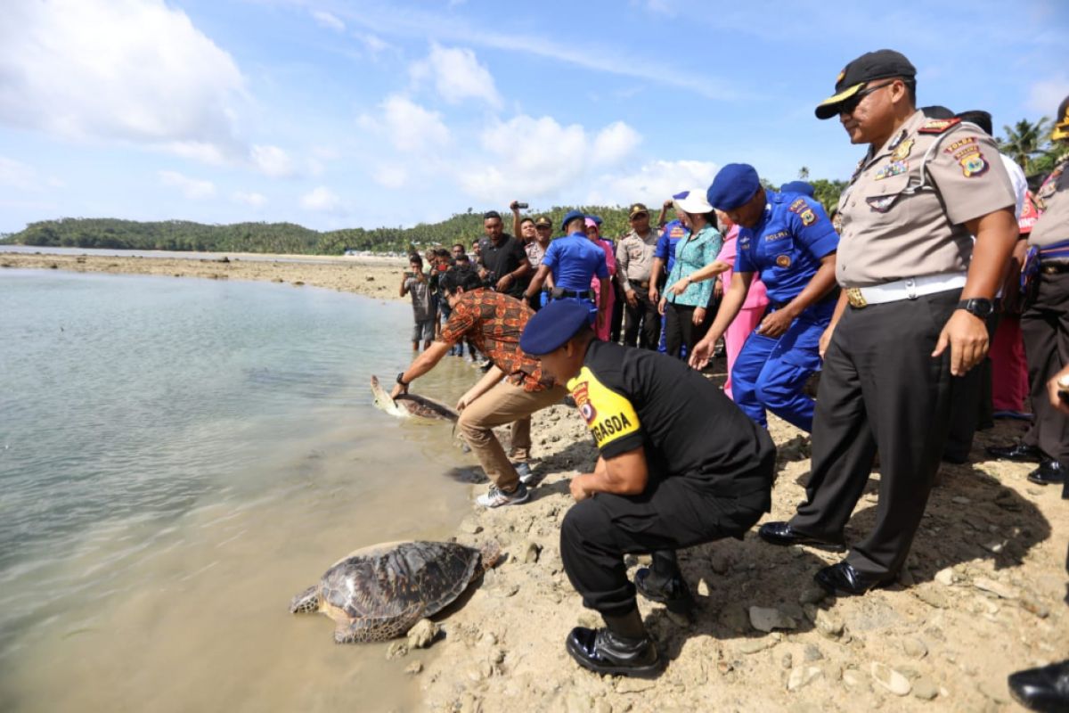 Kapolda ingatkan nelayan Tanimbar lestarikan penyu