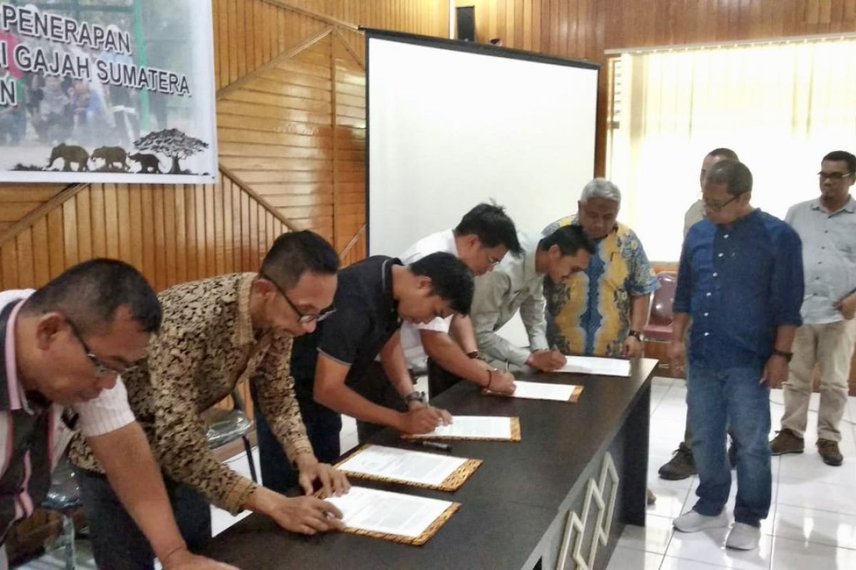 Tujuh pemegang konsesi Riau sepakat ikut konservasi gajah