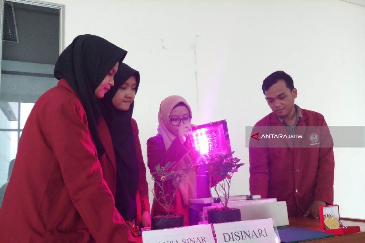 Mahasiswa UM Surabaya Buat Inovasi Alat Bantu Fotosintesis