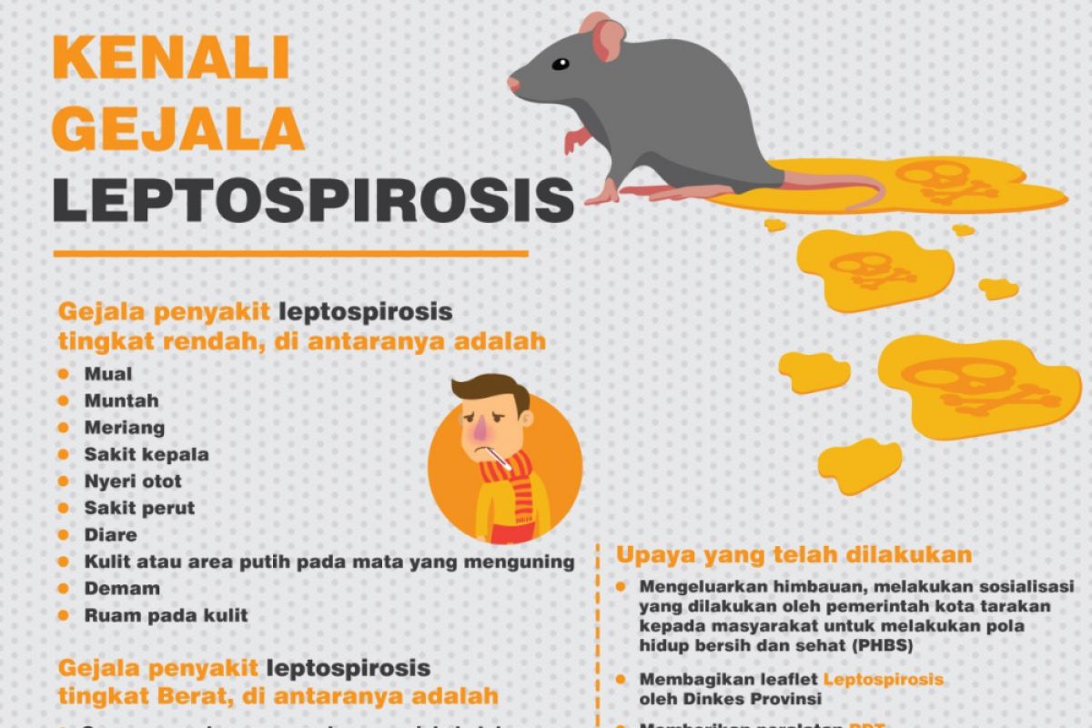 Cegah Leptopirosis, Pemprov Berikan Bantuan 300 RDT