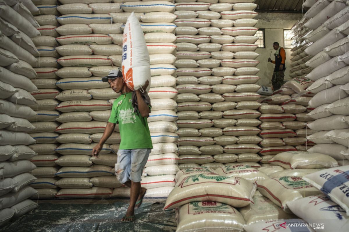 Kementan: potensi produksi beras hingga Maret 14,29 juta ton