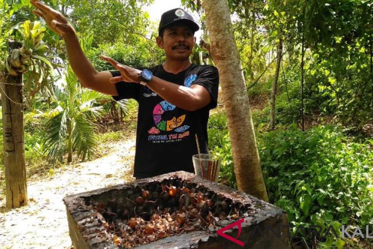 Warga Kukar Sukses Ternak Lebah Trigona