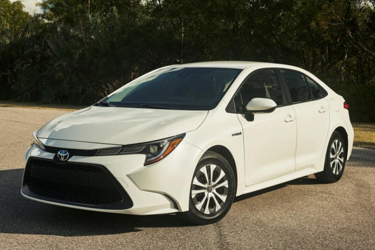 Prius bersaing dengan pendatang baru Corolla 2020