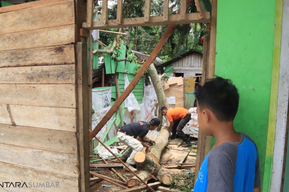 Pondok pesantren Padang Pariaman rusak ditimpa pohon tumbang