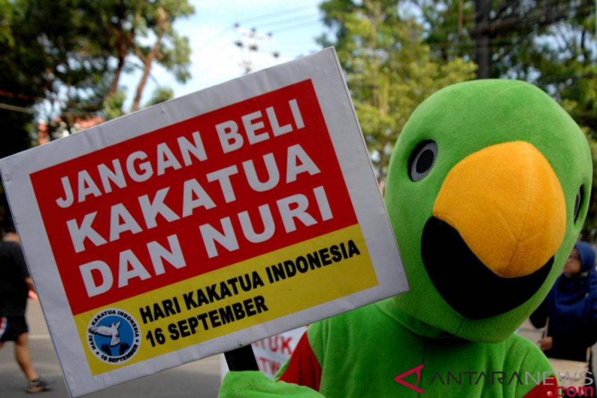 BKSDA sita 14 ekor burung Cangak Merah