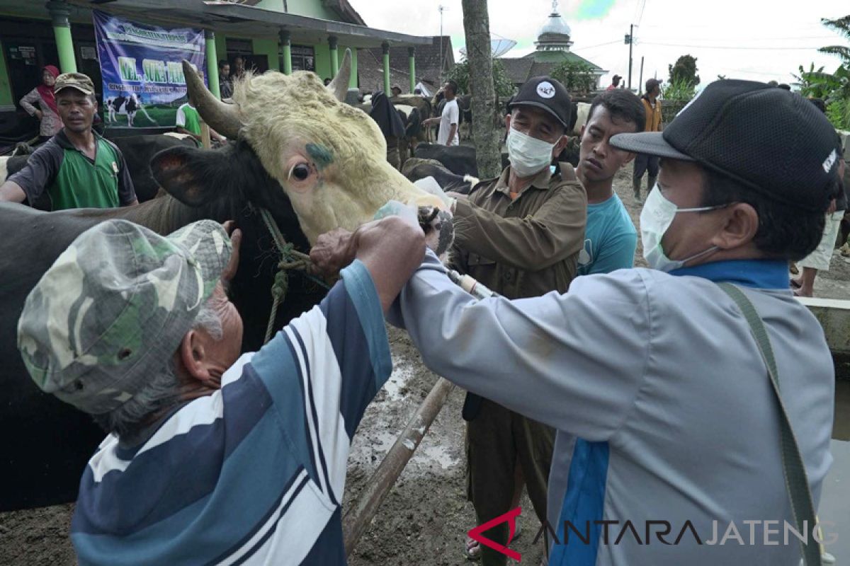 Jaga kesehatan ternak, Boyolali gelar pemeriksaan dan pengobatan sapi gratis