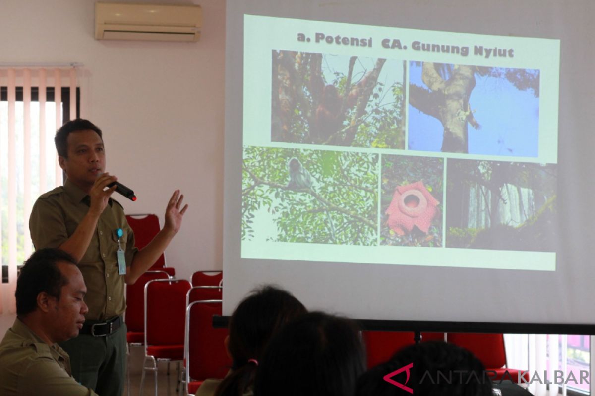 Pemkab Landak beresama BKSDA bangun stasiun penelitian Gunung Nyiut