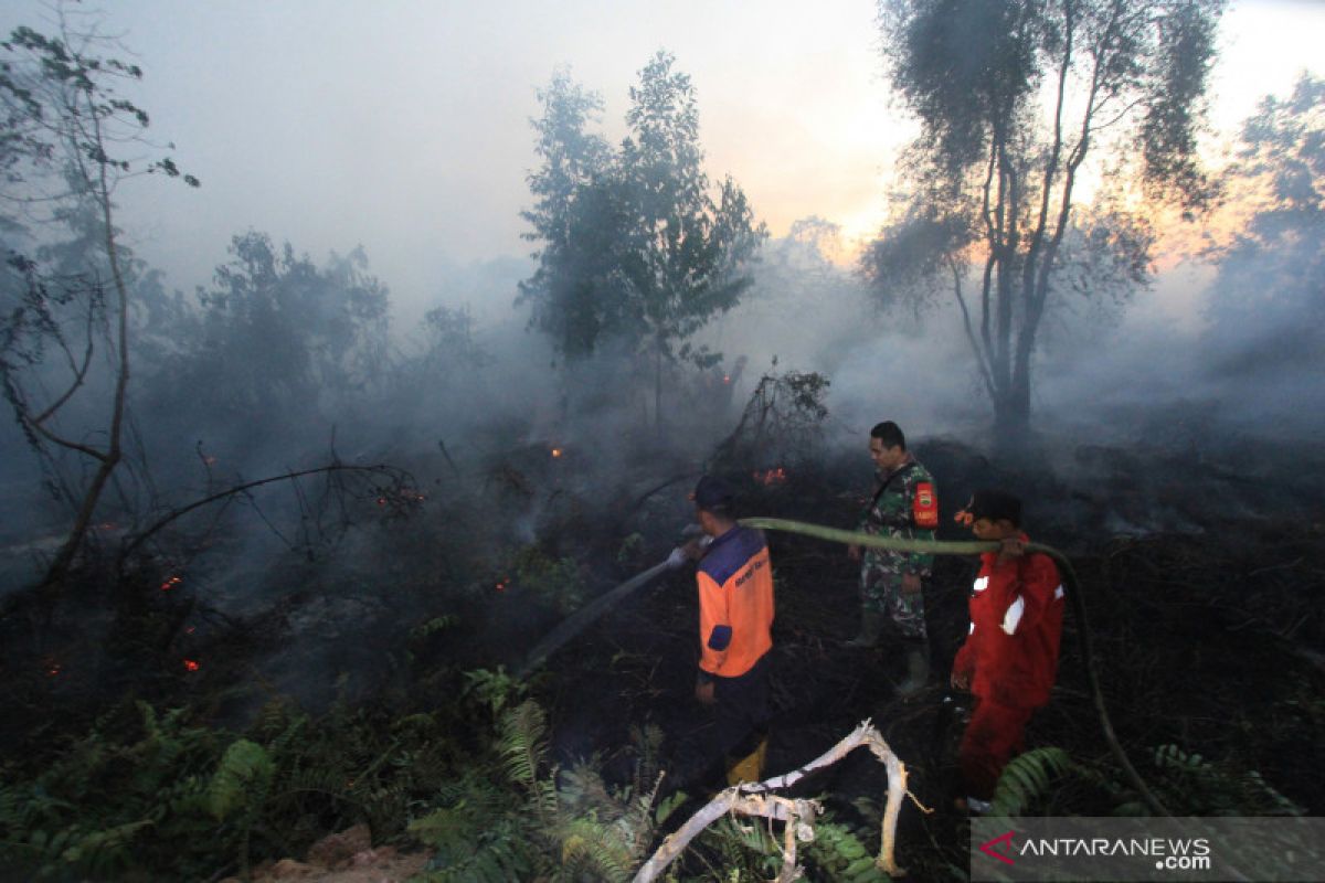 Jikalahari: titik panas terdeteksi di 13 area perusahaan di Riau