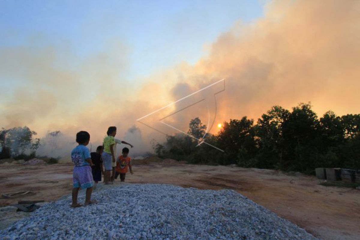 Riau Siaga Darurat Karhutla, Begini Faktor Politik yang Mempengaruhinya