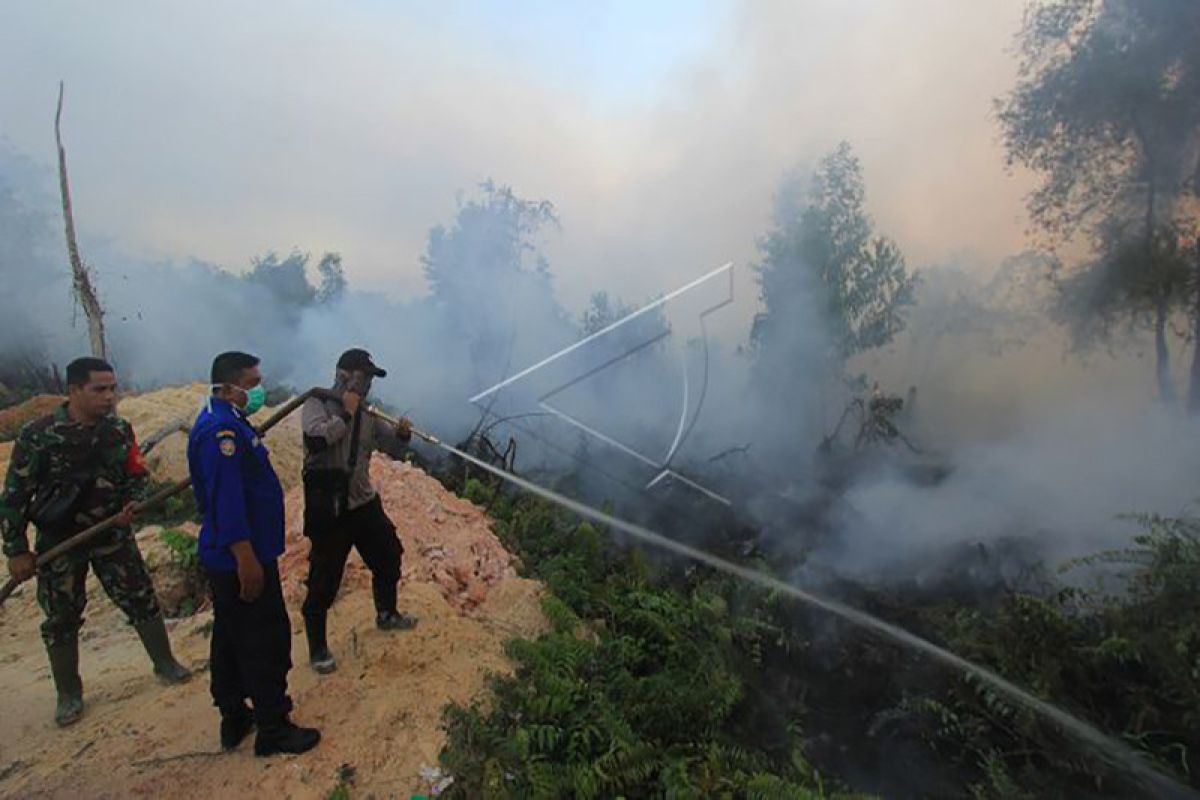 BPBD: Kebakaran Riau Masih Jauh dari Area Perusahaan
