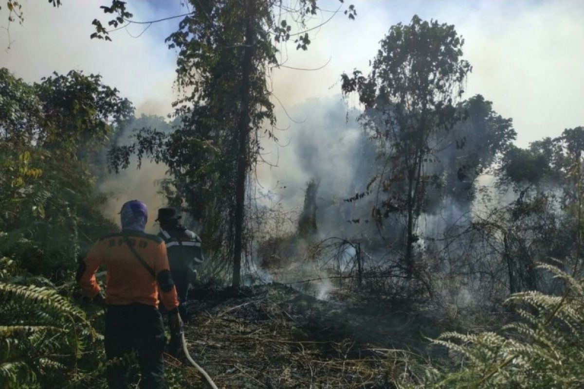 BPBD: Karhutla di Bengkalis Meluas Capai Ratusan Hektare