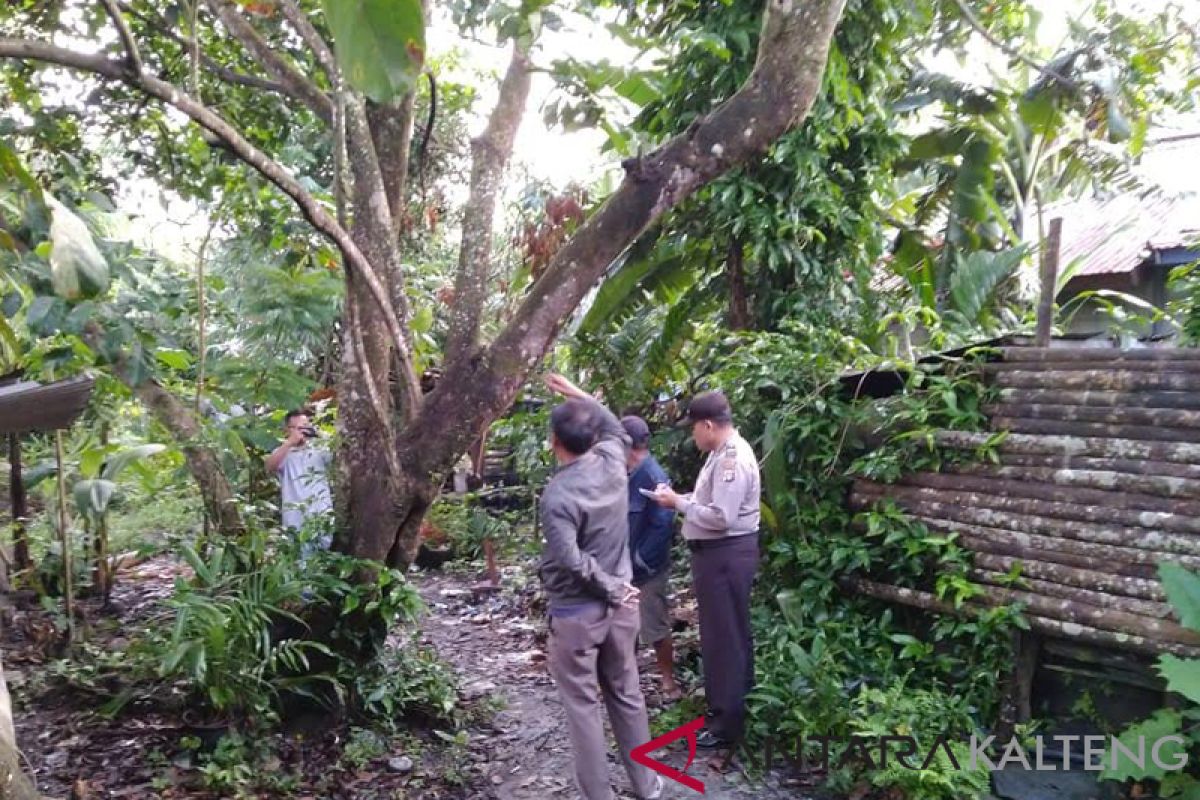 Gara-gara pisah ranjang, Perianto nekat gantung diri di pohon rambutan