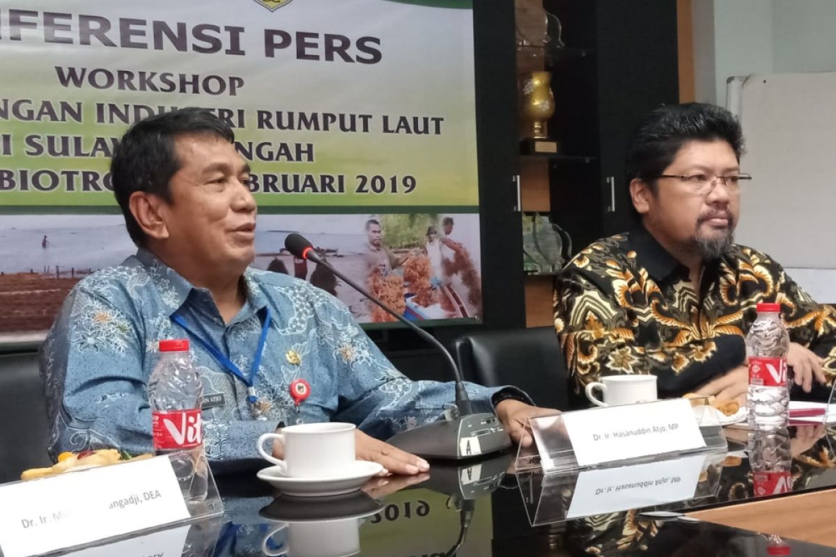 DKP Sulteng - Seameo Biotrop kerja sama kembangkan industrialisasi rumput laut