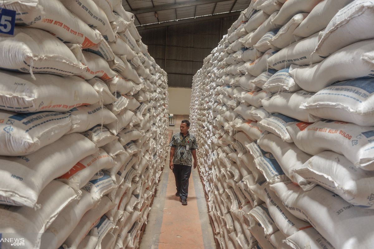 BI soroti rantai perdagangan beras Sumatera Selatan yang jadi terpanjang