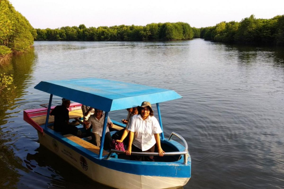 Hutan mangrove Lubuk Kertang 