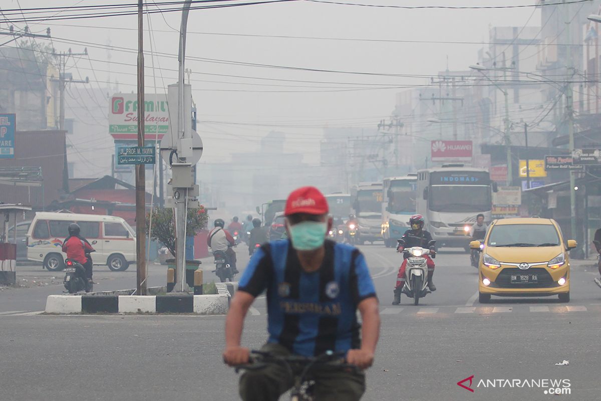 Kebakaran lahan di Riau diduga untuk perkebunan sawit