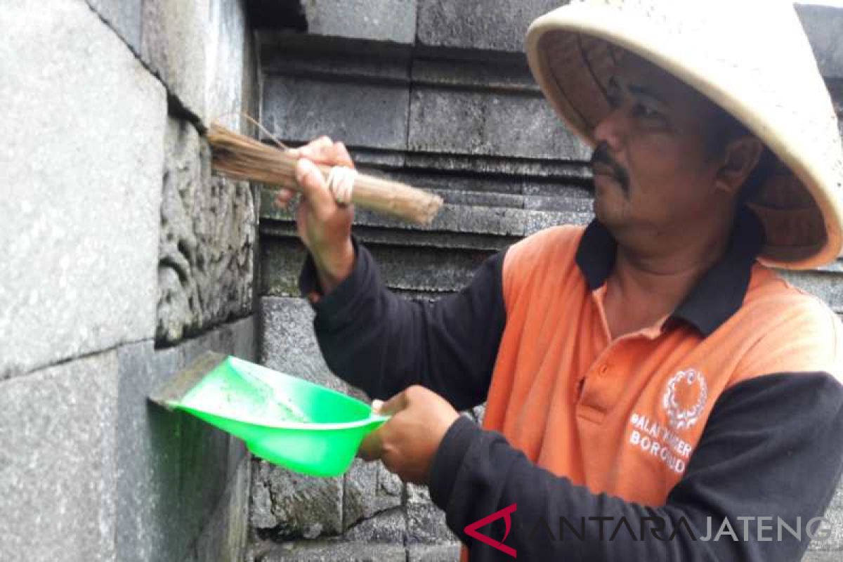 Balai Konservasi Borobudur bersihkan batuan candi dari lumut