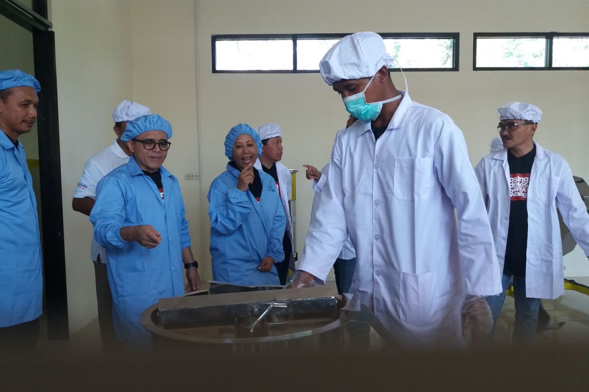Menteri Rini Resmikan Pabrik Cokelat Perkebunan Kendeng Lembu Banyuwangi (Video)
